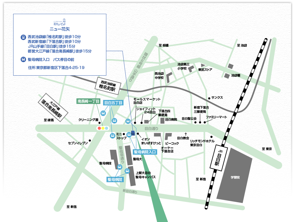 ニュー花矢の地図｜西武池袋線「椎名町駅」、西武新宿線「下落合駅」から徒歩10分。JR山手線「目白駅」、都営大江戸線「落合南長崎駅」から徒歩15分。「聖母病院前入口」バス停目の前