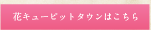 FAX注文書はこちら